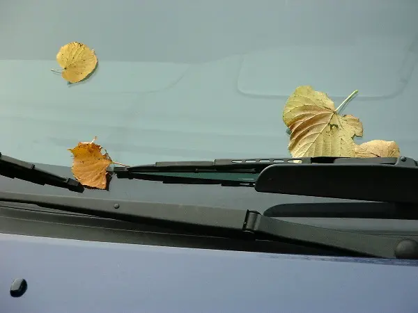 Fall. Seasonal photo by Stefan Stenudd.