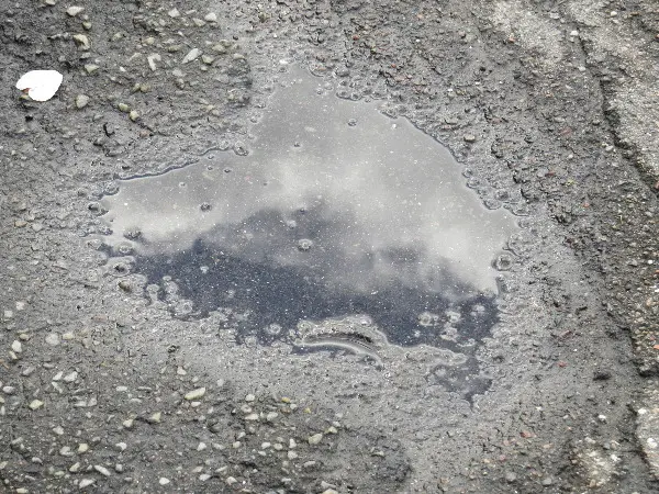 Malm� Closeup at Midsummer. Photo by Stefan Stenudd.