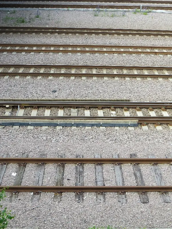 Malm� Closeup at Midsummer. Photo by Stefan Stenudd.