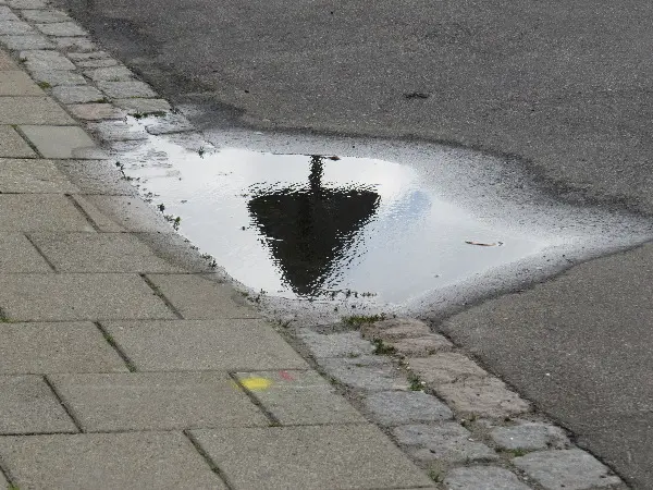 Malm� Closeups at Midsummer. Photos by Stefan Stenudd.