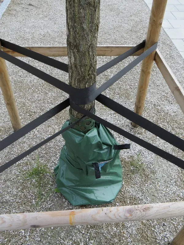 Malm� Closeup at Midsummer. Photo by Stefan Stenudd.