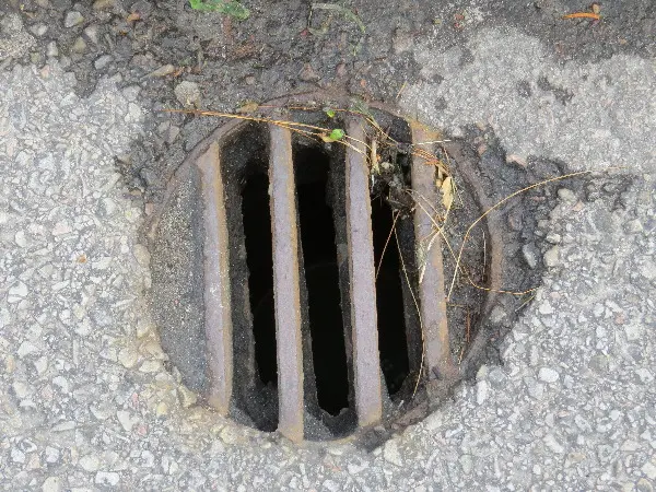 Malm� Closeup at Midsummer. Photo by Stefan Stenudd.