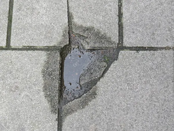 Malm� Closeup at Midsummer. Photo by Stefan Stenudd.