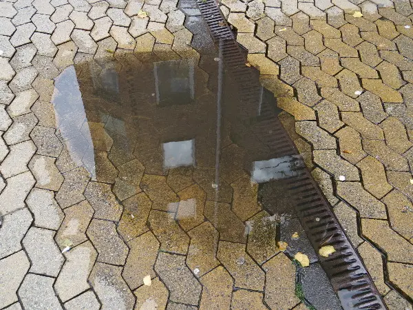 Malm� Closeup at Midsummer. Photo by Stefan Stenudd.