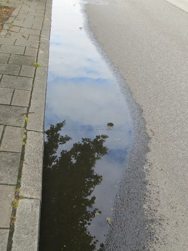 Malm� Closeup at Midsummer. Photo by Stefan Stenudd.