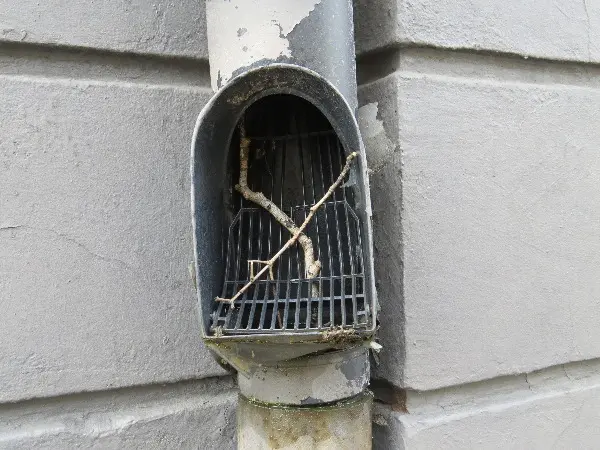 Malm� Closeup at Midsummer. Photo by Stefan Stenudd.