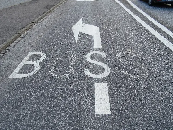 Malm� Closeup at Midsummer. Photo by Stefan Stenudd.