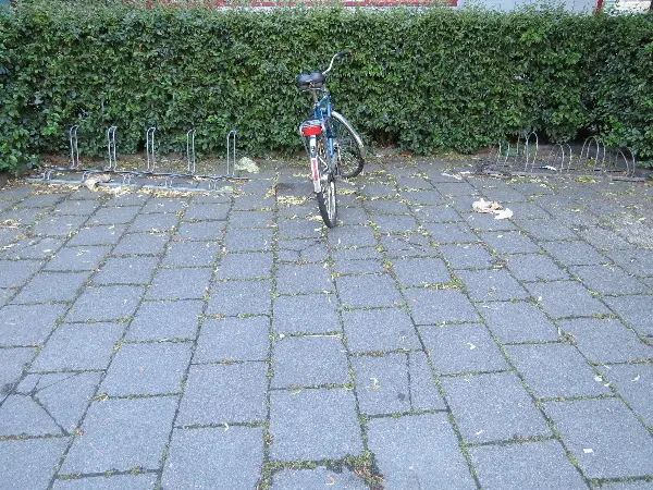 Malm� Closeup at Midsummer. Photo by Stefan Stenudd.