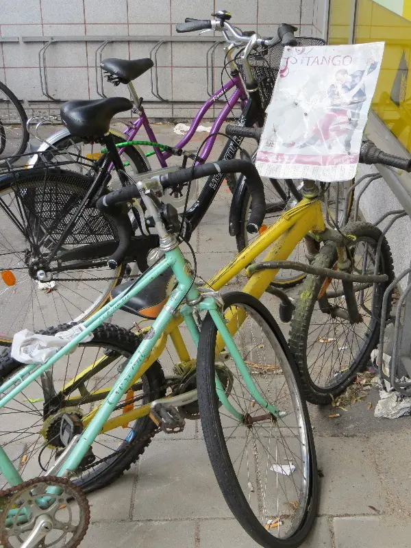 Malm� Closeup at Midsummer. Photo by Stefan Stenudd.