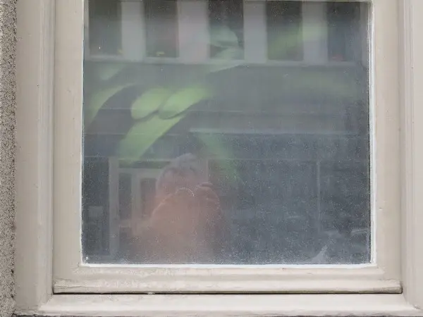 Malm� Closeup at Midsummer. Photo by Stefan Stenudd.