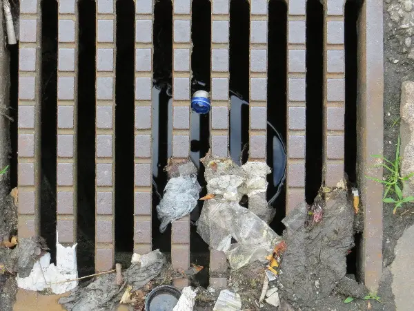 Malm� Closeup at Midsummer. Photo by Stefan Stenudd.