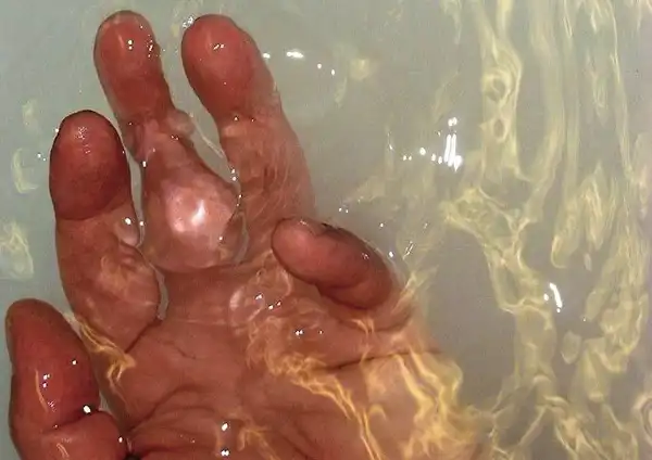 Touching Water � Stefan Stenudd.