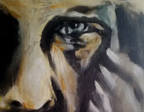 Speculations � essays on various topics by Stefan Stenudd.